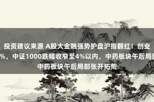 投资建议来源 A股大金融强势护盘沪指翻红！创业板指涨超3%，中证1000跌幅收窄至4%以内，中药板块午后局部张开拓荒