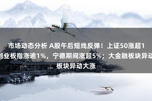 市场动态分析 A股午后短线反弹！上证50涨超1%，创业板指涨逾1%，宁德期间涨超5%；大金融板块异动大涨