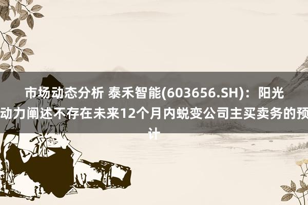 市场动态分析 泰禾智能(603656.SH)：阳光新动力阐述不存在未来12个月内蜕变公司主买卖务的预计