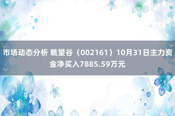 市场动态分析 眺望谷（002161）10月31日主力资金净买入7885.59万元