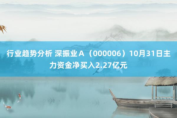 行业趋势分析 深振业Ａ（000006）10月31日主力资金净买入2.27亿元