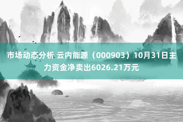 市场动态分析 云内能源（000903）10月31日主力资金净卖出6026.21万元