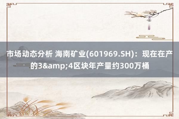 市场动态分析 海南矿业(601969.SH)：现在在产的3&4区块年产量约300万桶