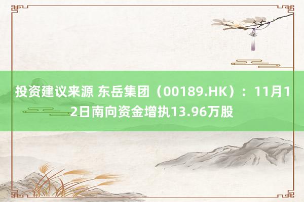 投资建议来源 东岳集团（00189.HK）：11月12日南向资金增执13.96万股