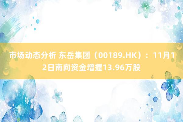 市场动态分析 东岳集团（00189.HK）：11月12日南向资金增握13.96万股