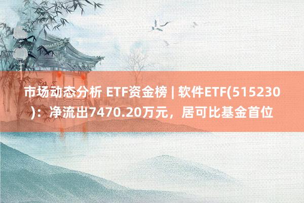 市场动态分析 ETF资金榜 | 软件ETF(515230)：净流出7470.20万元，居可比基金首位