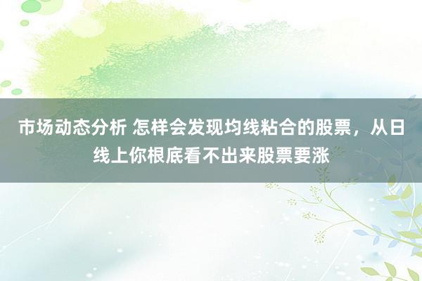 市场动态分析 怎样会发现均线粘合的股票，从日线上你根底看不出来股票要涨