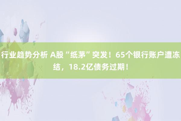 行业趋势分析 A股“纸茅”突发！65个银行账户遭冻结，18.2亿债务过期！