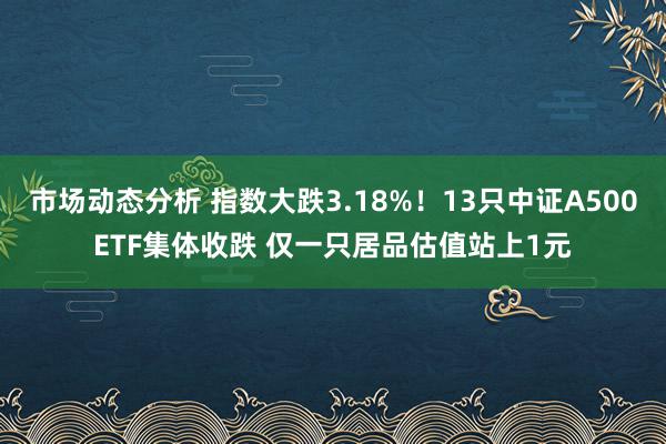 市场动态分析 指数大跌3.18%！13只中证A500ETF集体收跌 仅一只居品估值站上1元