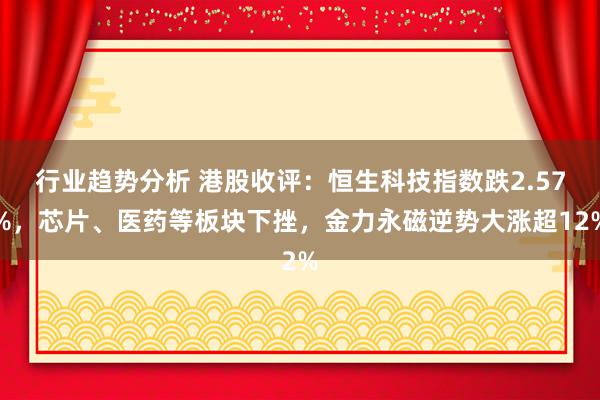 行业趋势分析 港股收评：恒生科技指数跌2.57%，芯片、医药等板块下挫，金力永磁逆势大涨超12%