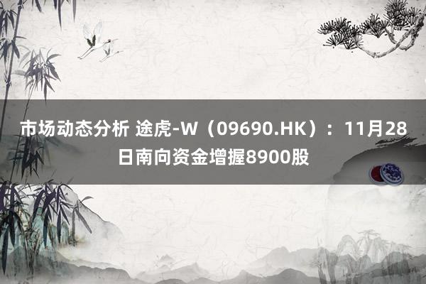 市场动态分析 途虎-W（09690.HK）：11月28日南向资金增握8900股