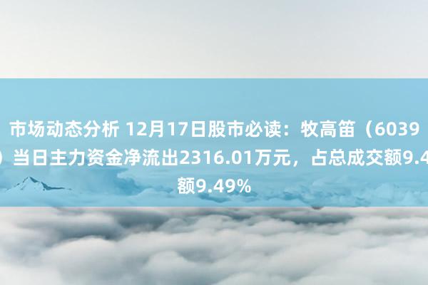 市场动态分析 12月17日股市必读：牧高笛（603908）当日主力资金净流出2316.01万元，占总成交额9.49%