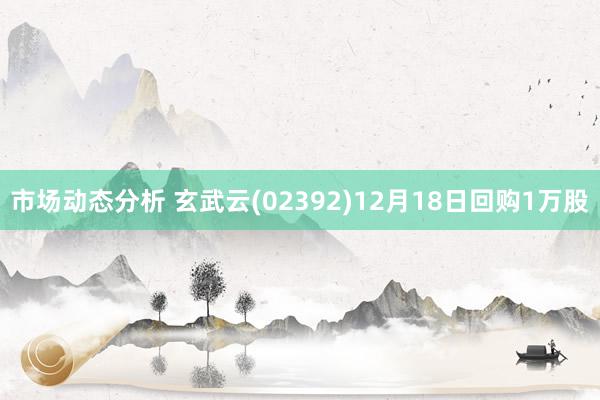 市场动态分析 玄武云(02392)12月18日回购1万股