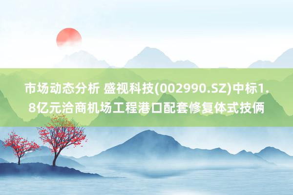 市场动态分析 盛视科技(002990.SZ)中标1.8亿元洽商机场工程港口配套修复体式技俩