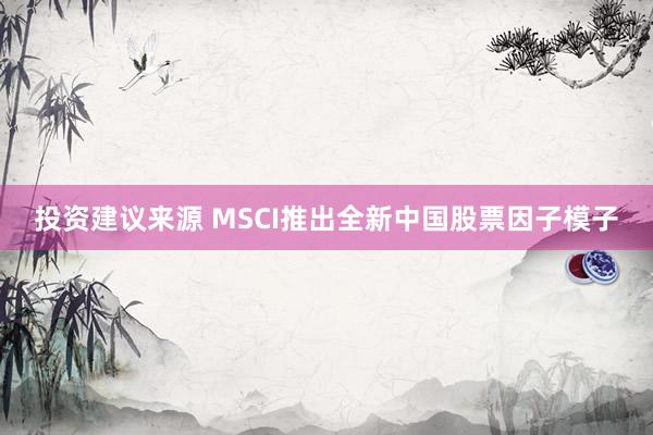 投资建议来源 MSCI推出全新中国股票因子模子