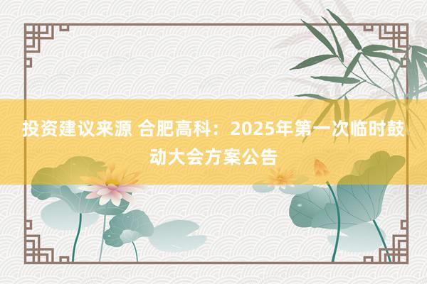 投资建议来源 合肥高科：2025年第一次临时鼓动大会方案公告