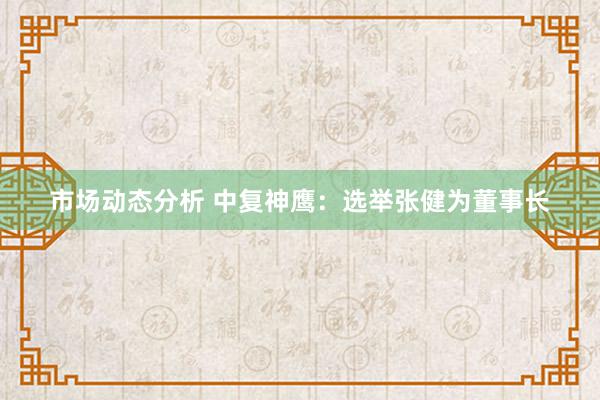 市场动态分析 中复神鹰：选举张健为董事长